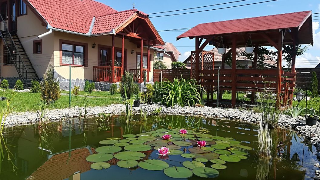 Casa de oaspeți Mady Ciumani (1)