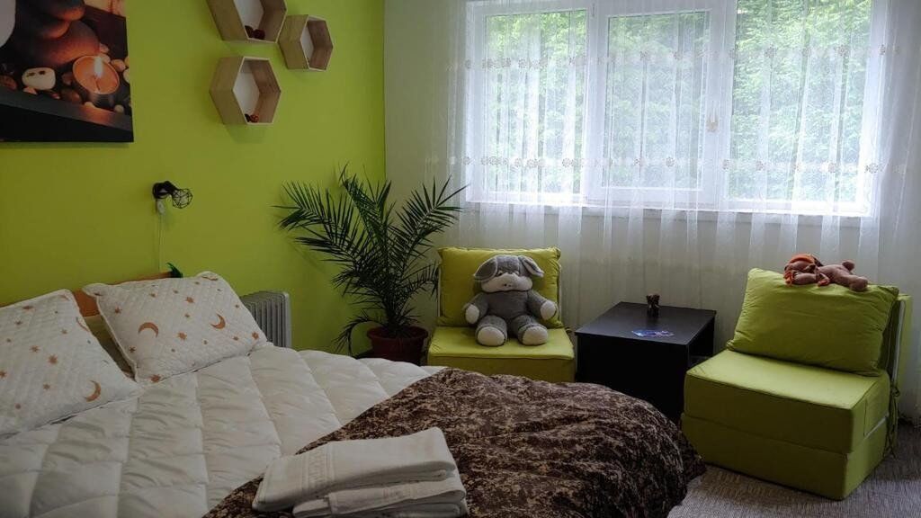 Casa Elena Brădetu (1)