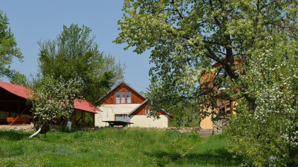 Camping Zamolxe Sarmizegetusa (1)