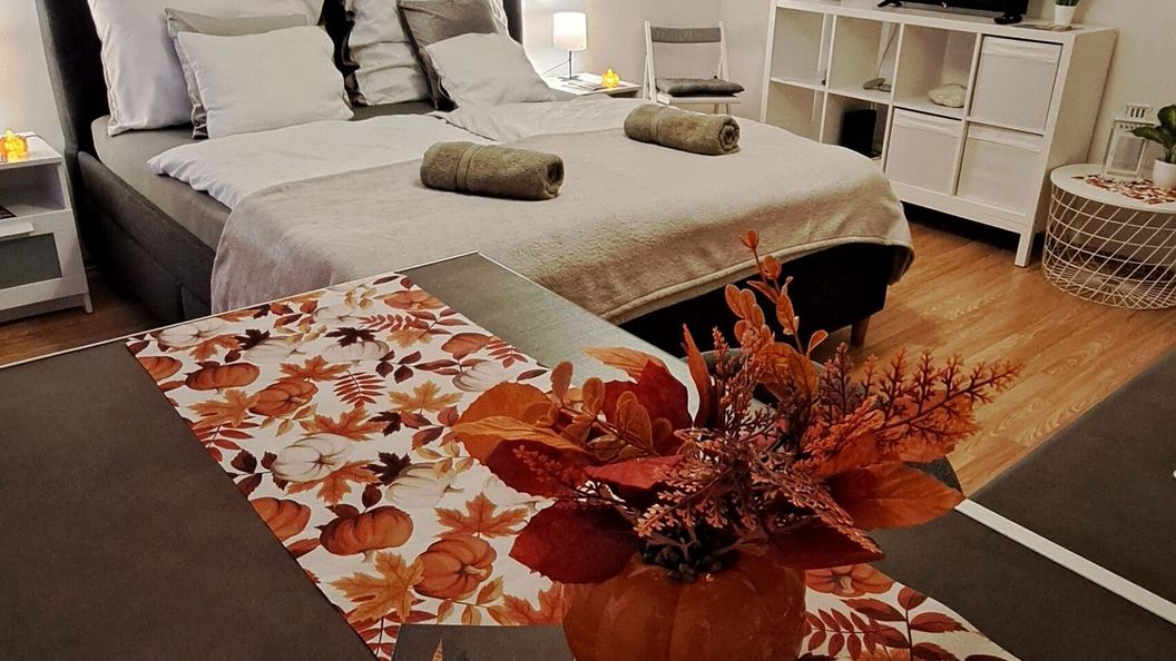 Jelena Apartman Szeged (1)