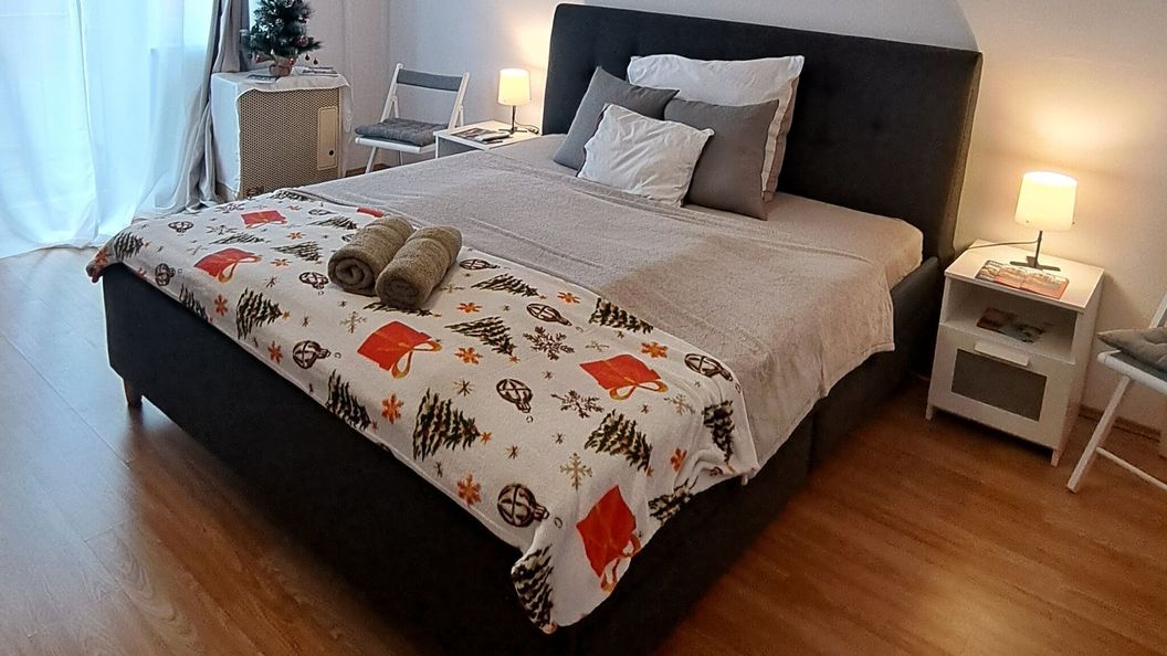 Jelena Apartman Szeged (1)