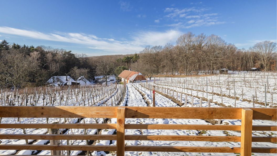 Vendégház Güssing - ABU210 (1)