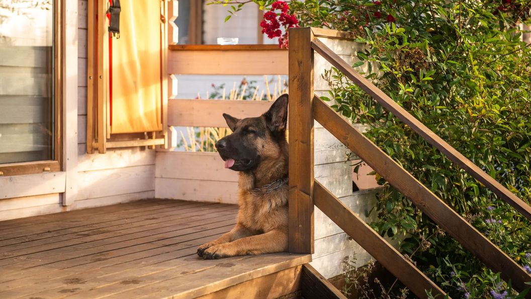 Sielankownia Radków (1)