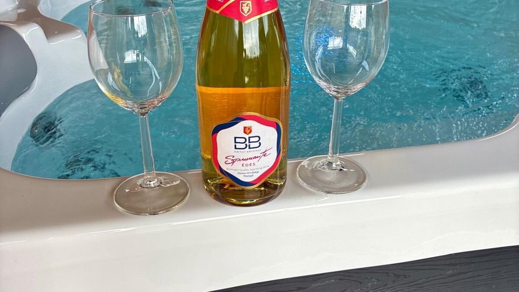 Zalán Apartman Balatonlelle (1)