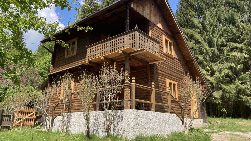 Cabana Evergreen Băile Balvanyos (1)