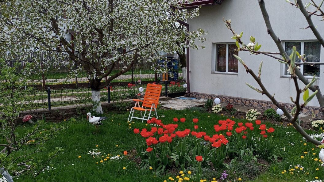 Căsuța Bunicilor Dorna Candrenilor (1)