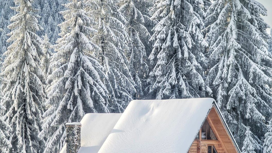 Cabana BellaMonte Vârtop (1)