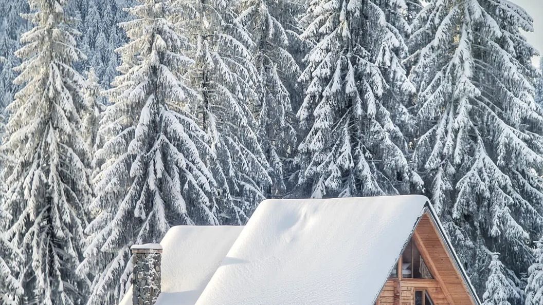 Cabana BellaMonte Vârtop (1)