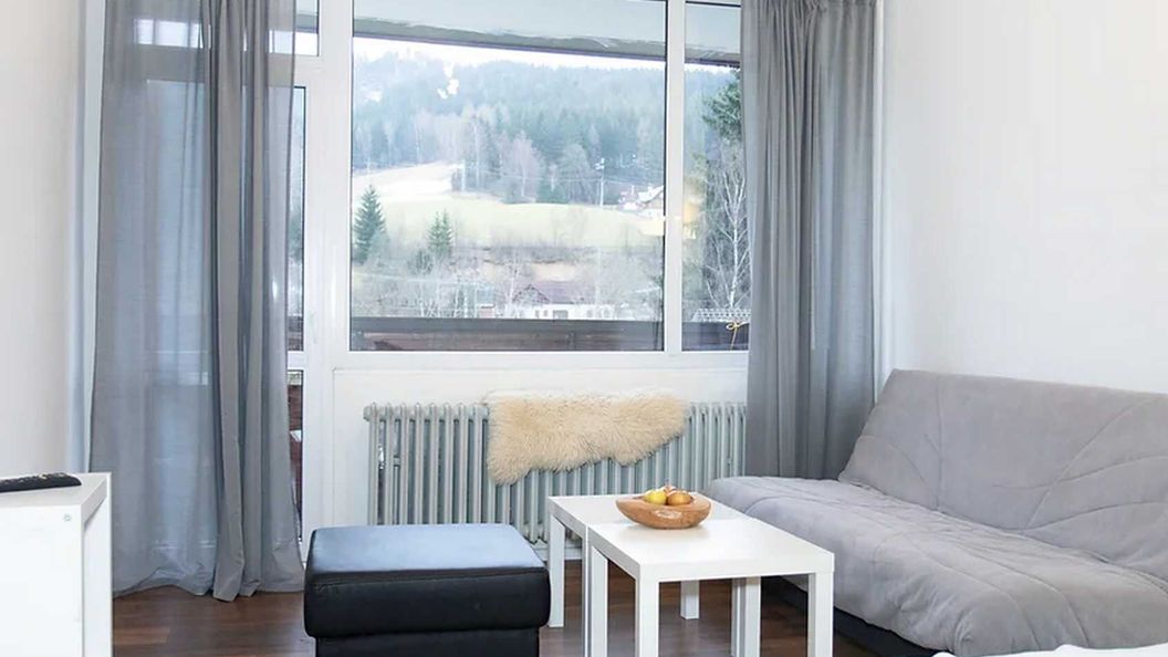 Apartmány Špičák Jiřetín pod Bukovou (1)