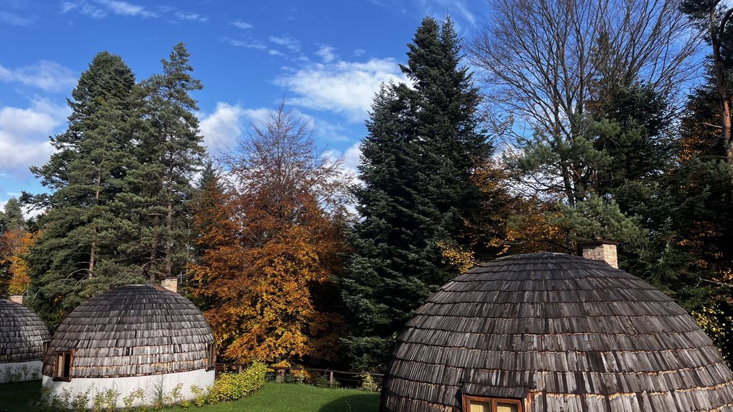 Domki Grasówka Werlas (1)