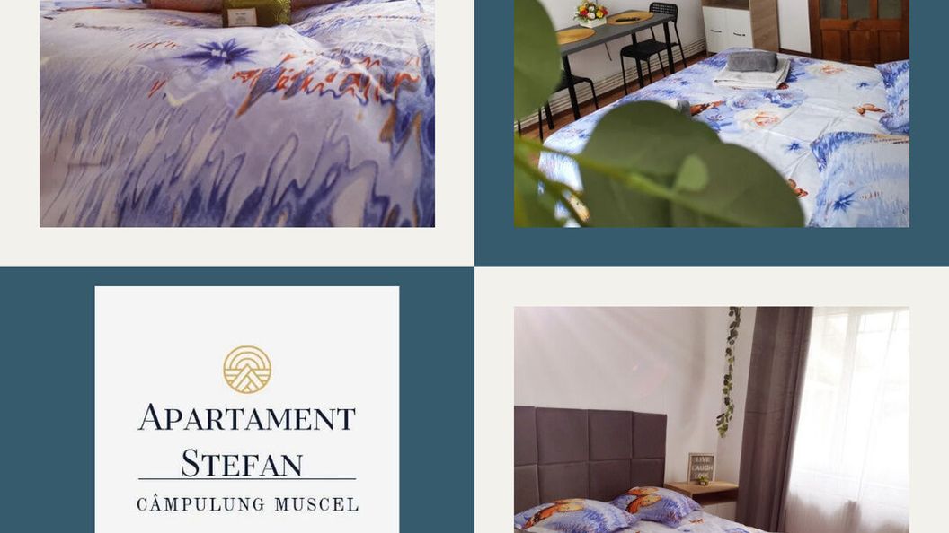 Studio Ștefan Câmpulung (1)