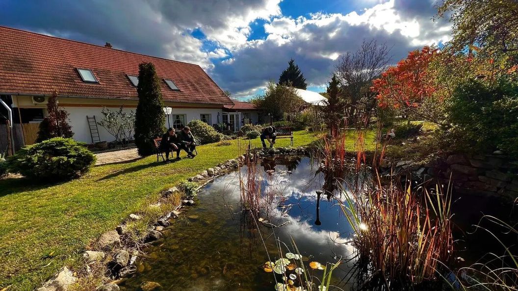 Pilisi Lovas Major Dorog (1)