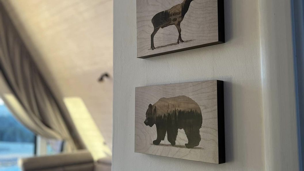 Cabana Mokki Mărișel (1)