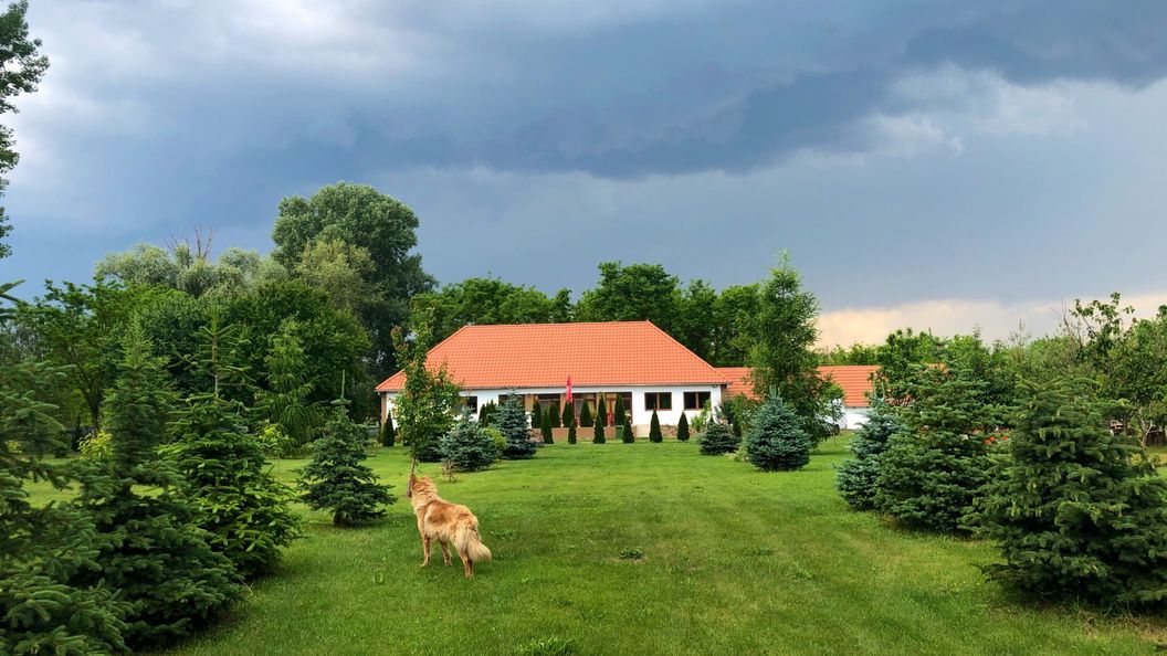 Koma Vendégház Bátorliget (1)