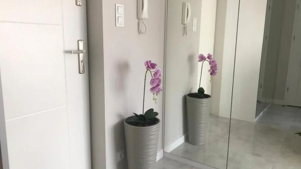 Apartament Exclusive Centrum Białystok (1)