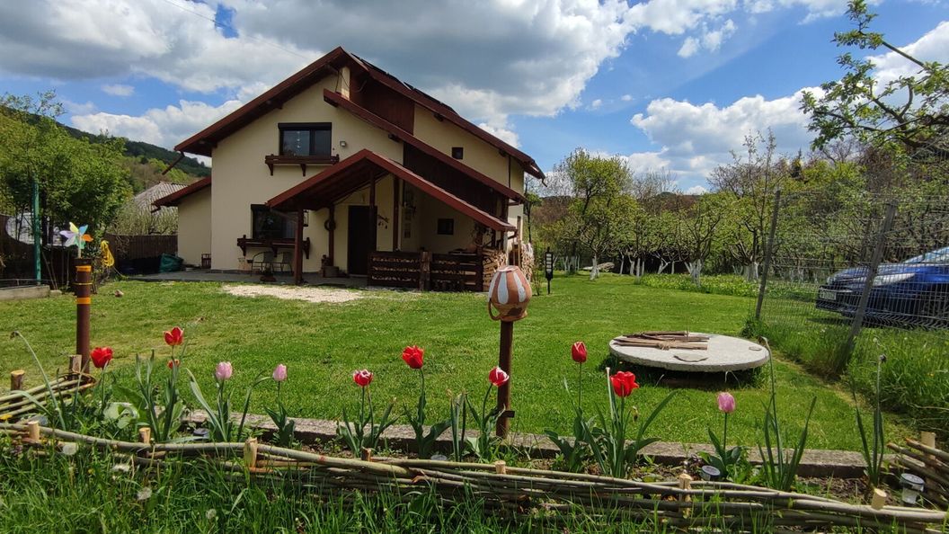 Cottage in Traditional Village Brăduleț (1)