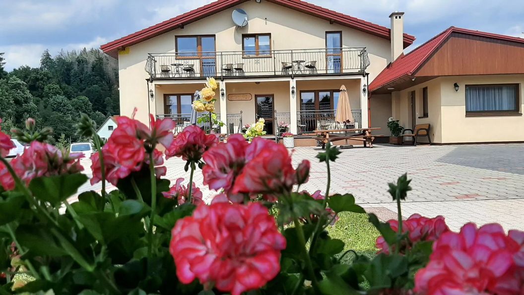 Dantar Kudowa-Zdrój (1)