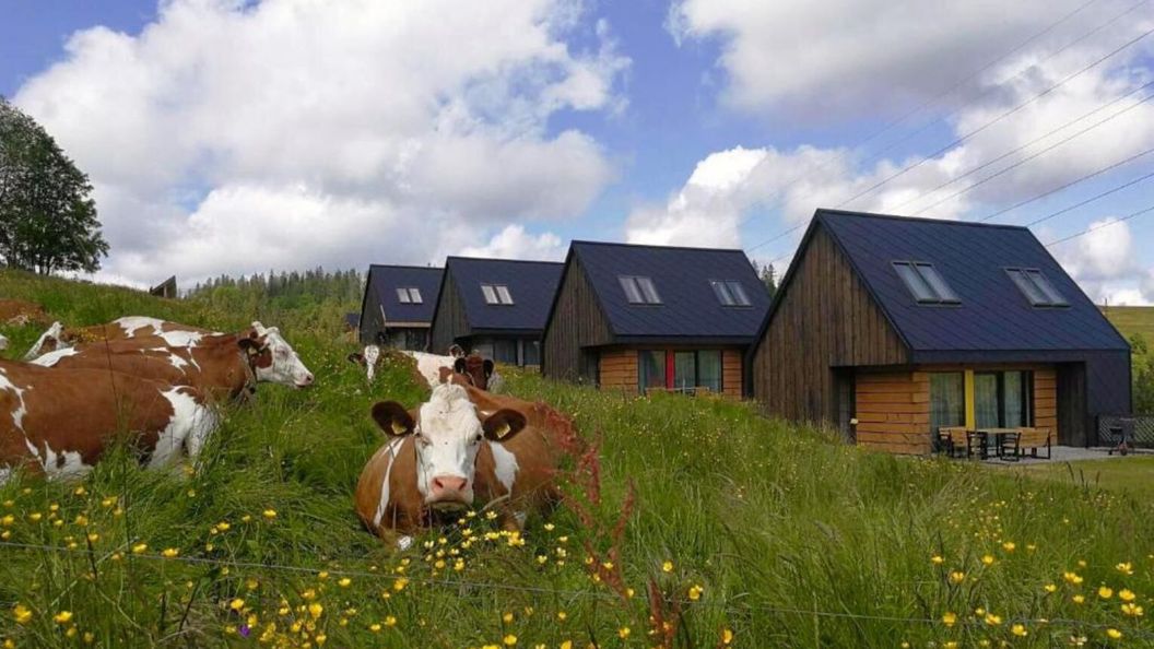 Bystre DOMKI Zakopane (1)