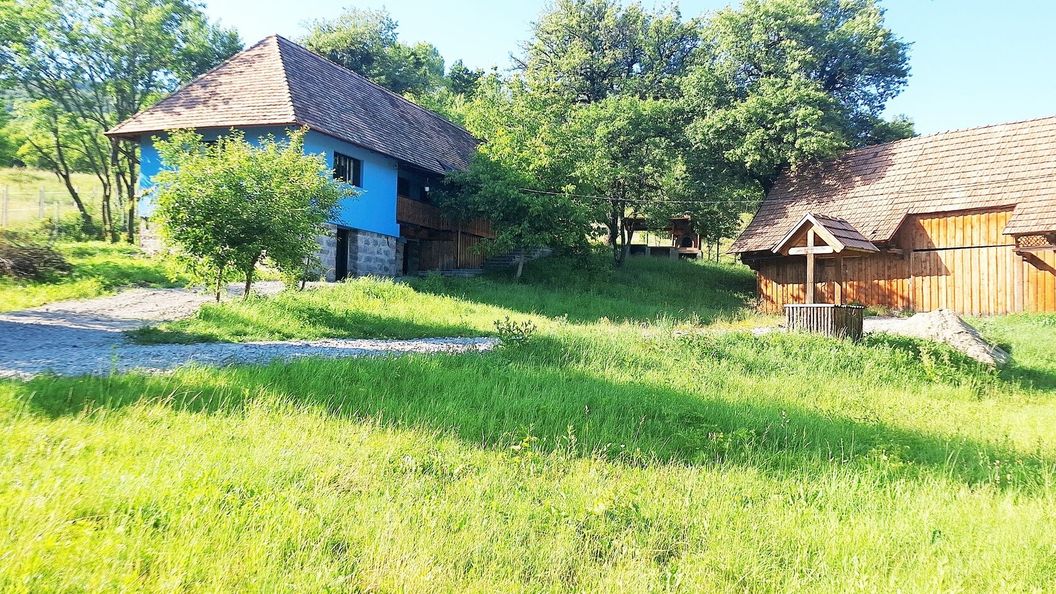 Cabana Gyulaföld Lupeni (1)