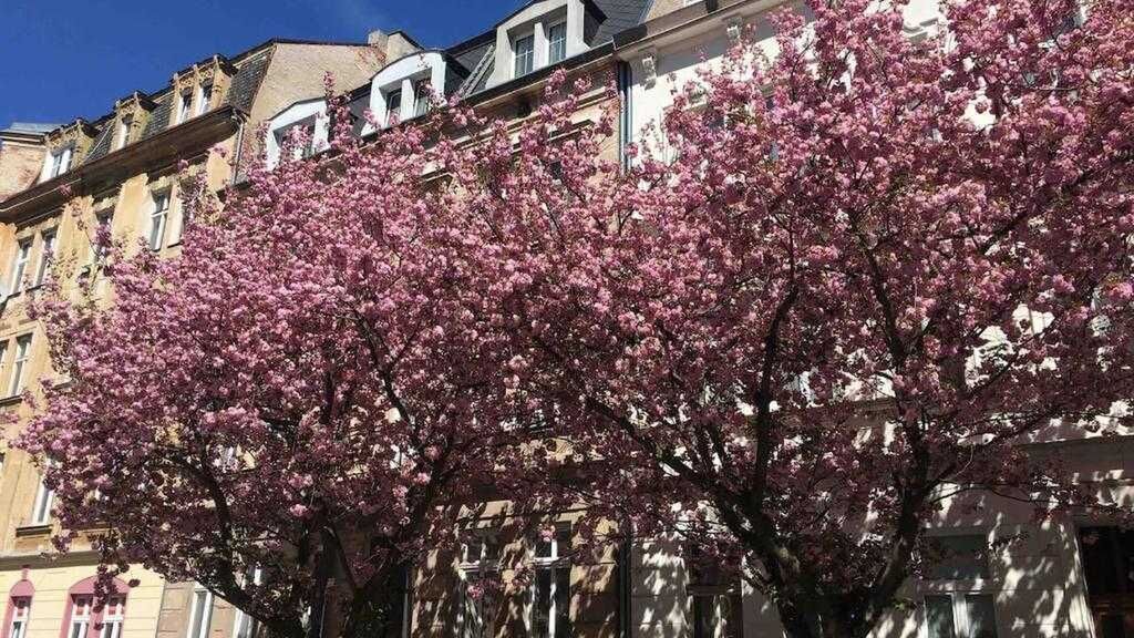 Apartmány Jízdárenská Karlovy Vary (1)