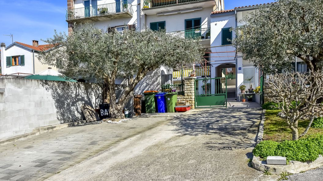 Apartments Jasmine Biograd (1)