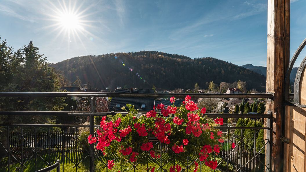 Dom na Zielonym Wzgórzu Szczawnica (1)