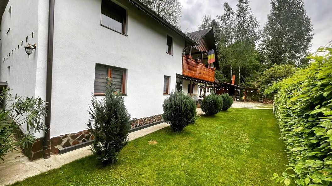 Cabana Tudor Avrig (1)