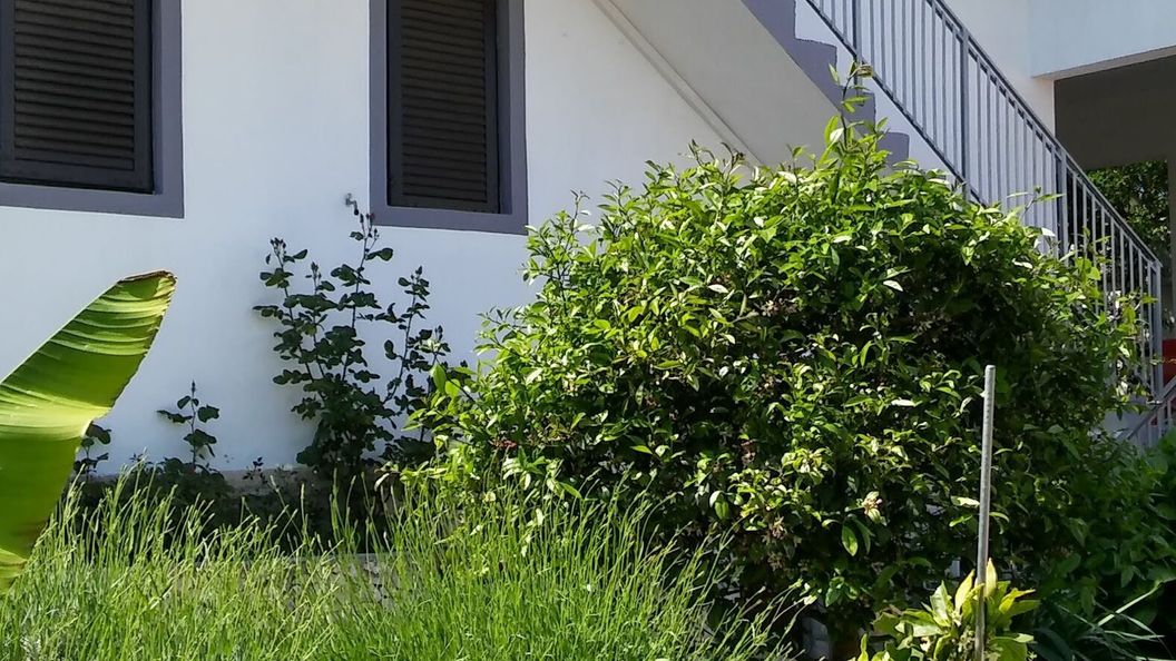 Apartment Nirvana Razanj (1)