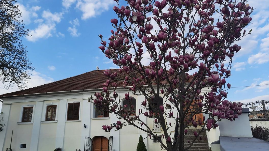 Bagolyvár Vendégház Tállya (1)