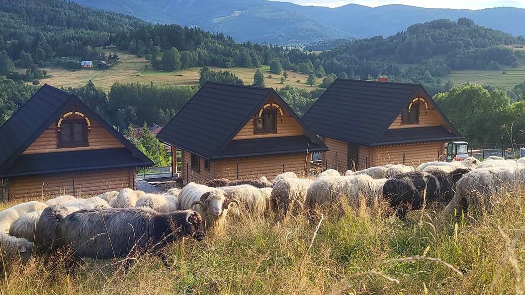 Chaty pod Pilskiem Krzyżówki (1)