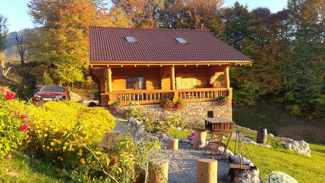 Cabana Adierea Vântului Bran (1)