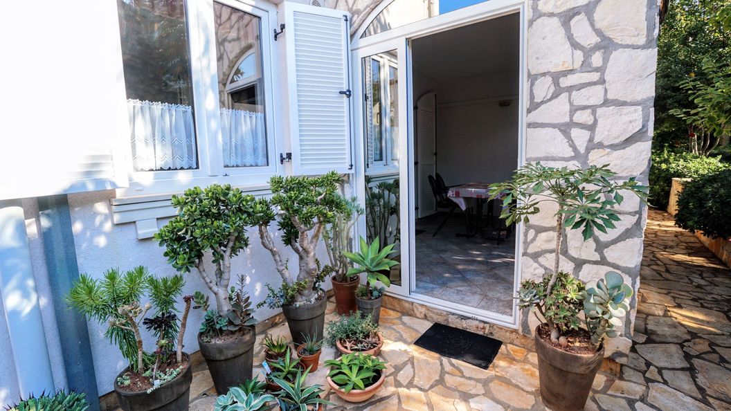 Apartment Vlado Zambratija (1)