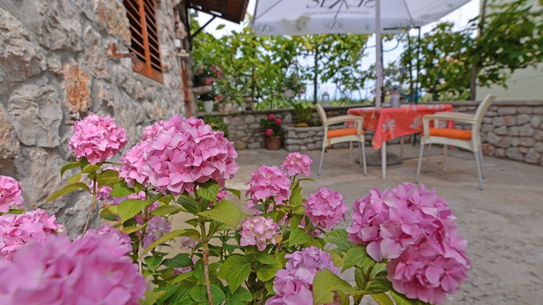 Apartmanok Parkolóhellyel Veli Losinj, Losinj - 21185 Veli Lošinj (1)