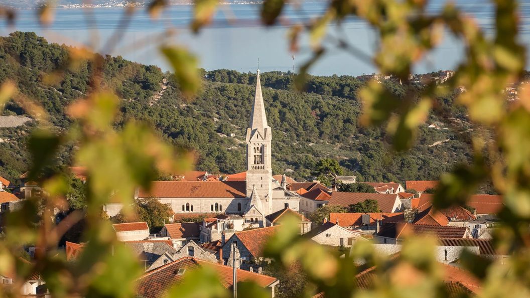 House Ivana Selca (1)