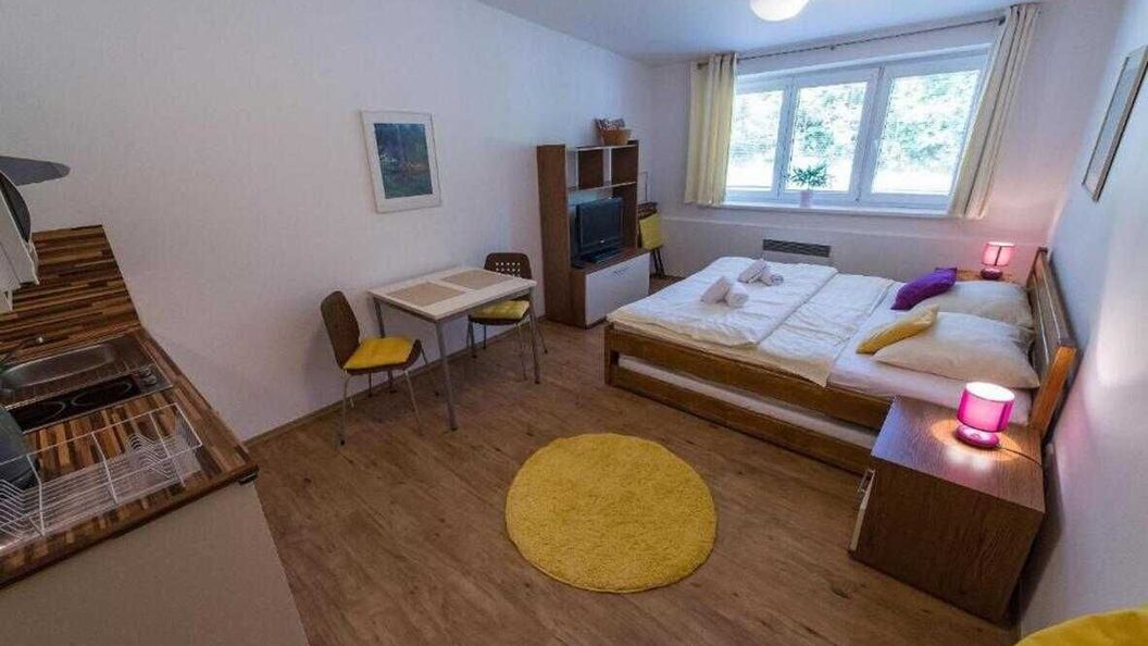 Apartmán Lipno 20 Lipno nad Vltavou (1)