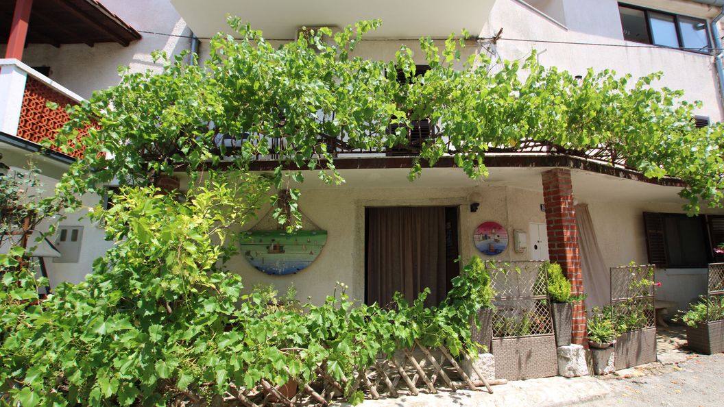 Apartmani Sonnenblume Funtana (1)