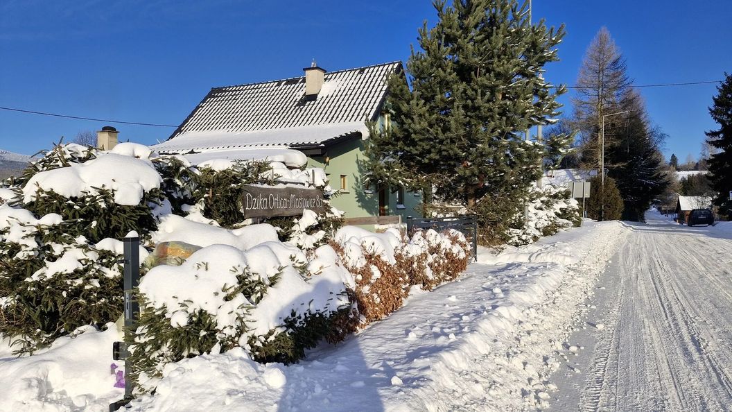 Apartamenty Dzika Orlica Mostowice (1)