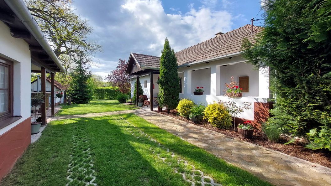 Lassuló Szabolcs (1)