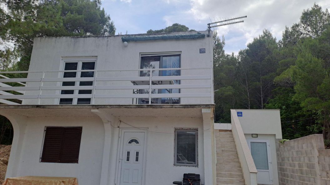 Apartmani Boris Donji Karin (1)