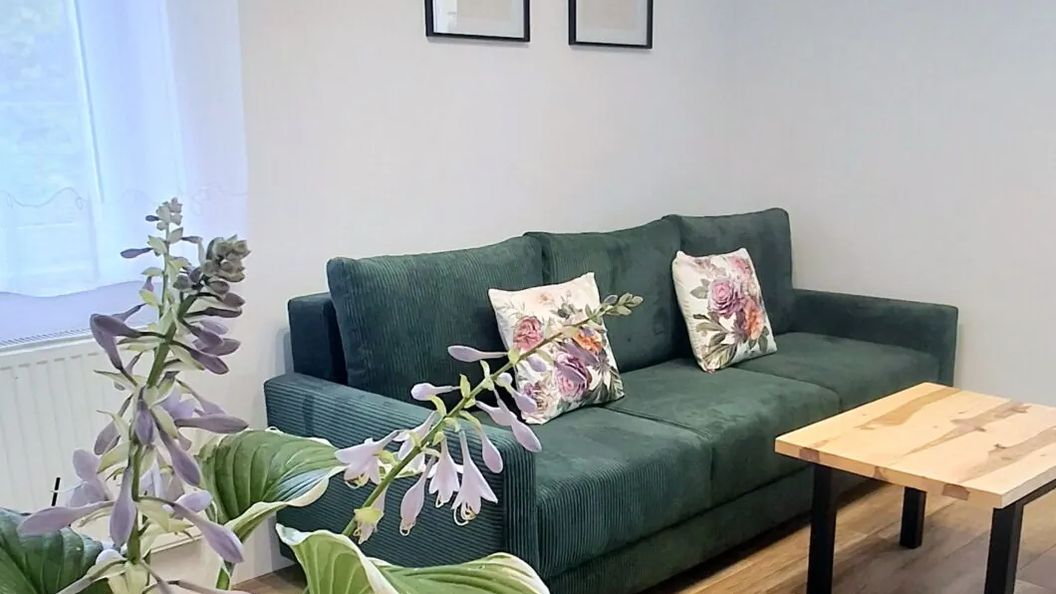Apartament Dzika Róża Kowary (1)