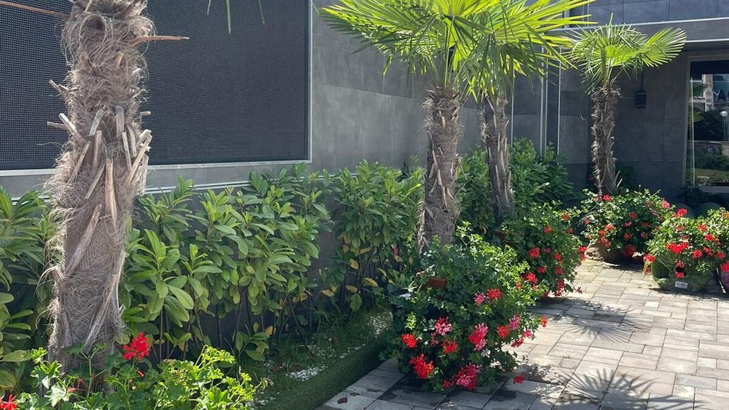 Ellipsum Vendégház Miskolctapolca (1)