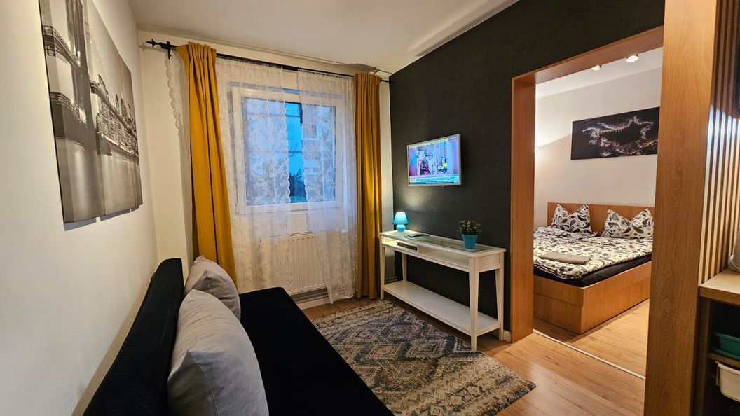 Brigitte Apartments Sovata (1)