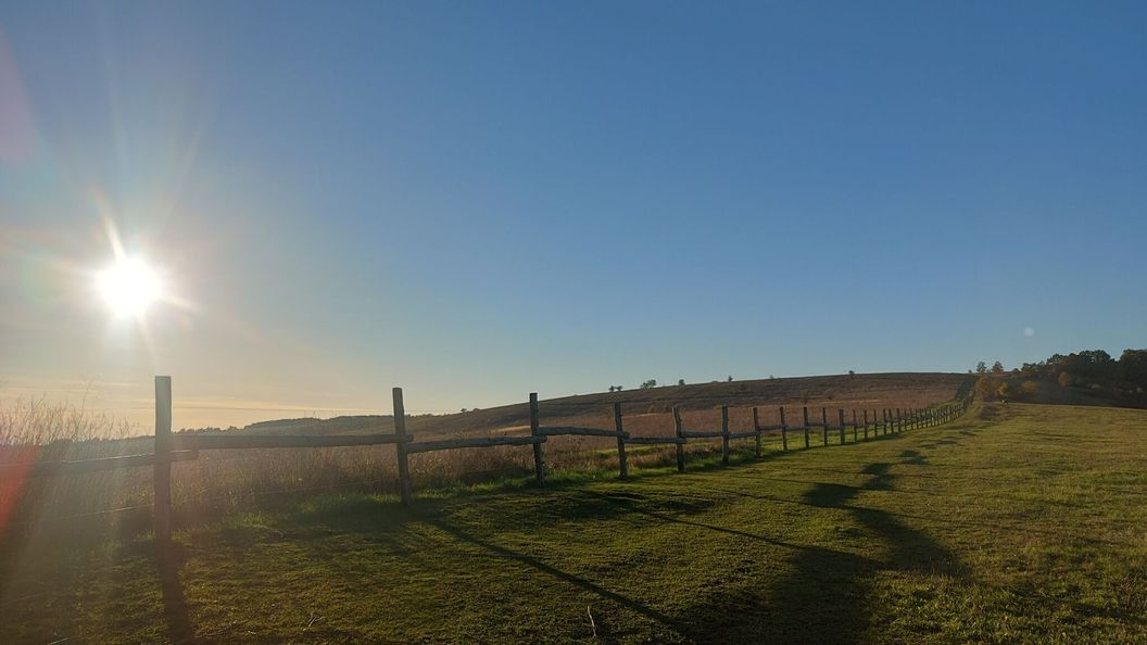 Trófeás Vendégház Kelemér  (1)