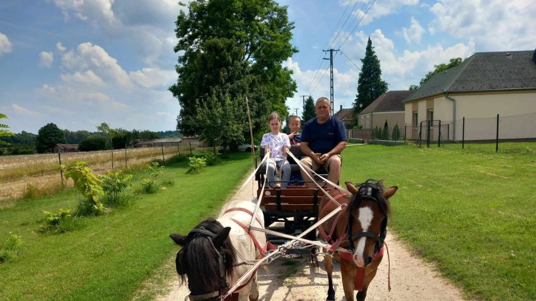Póni Kuckó Vendégház és Minifarm Hosszúvölgy (1)