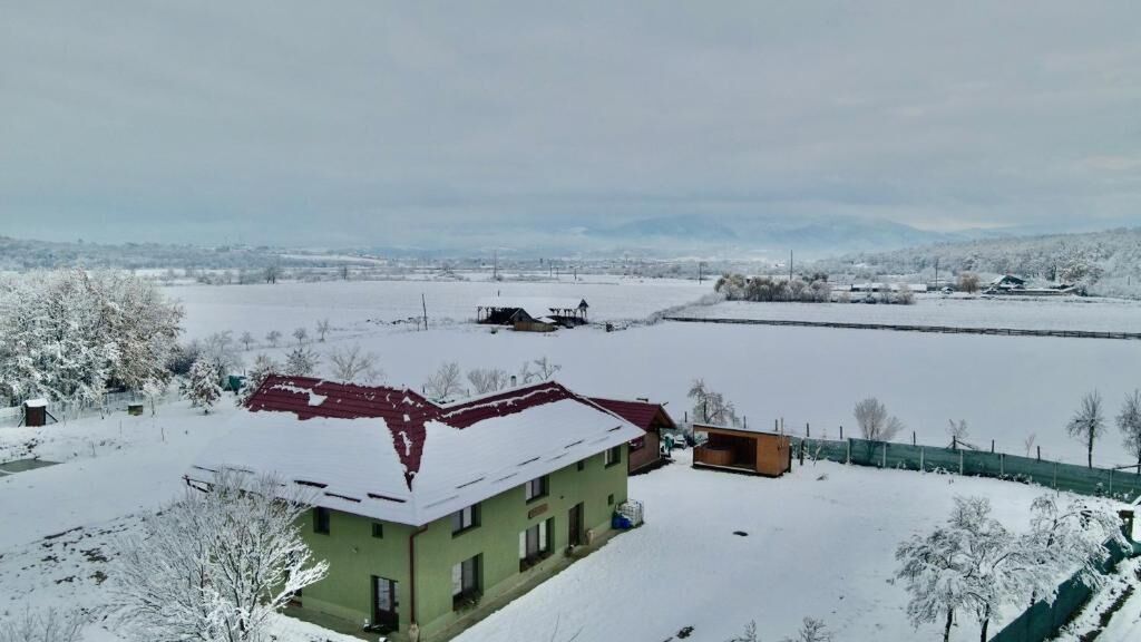 Casa David 13D Nimăiești (1)