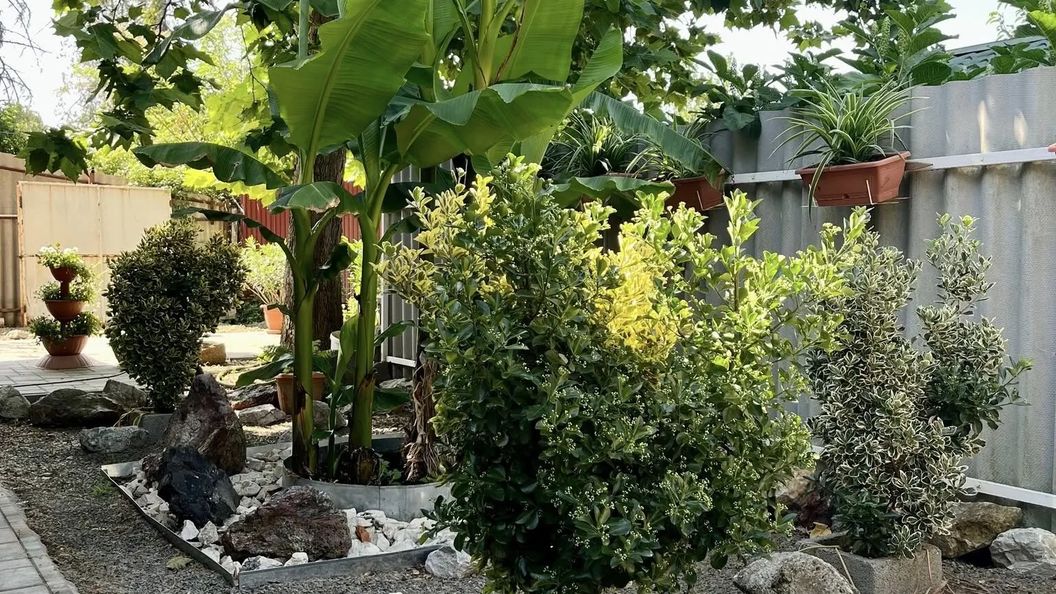 Apartman Merops Berekfürdő (1)