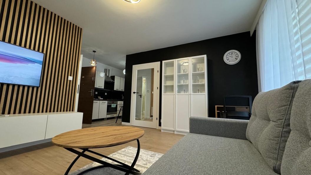 Vip Apartamenty Grabskiego (1)