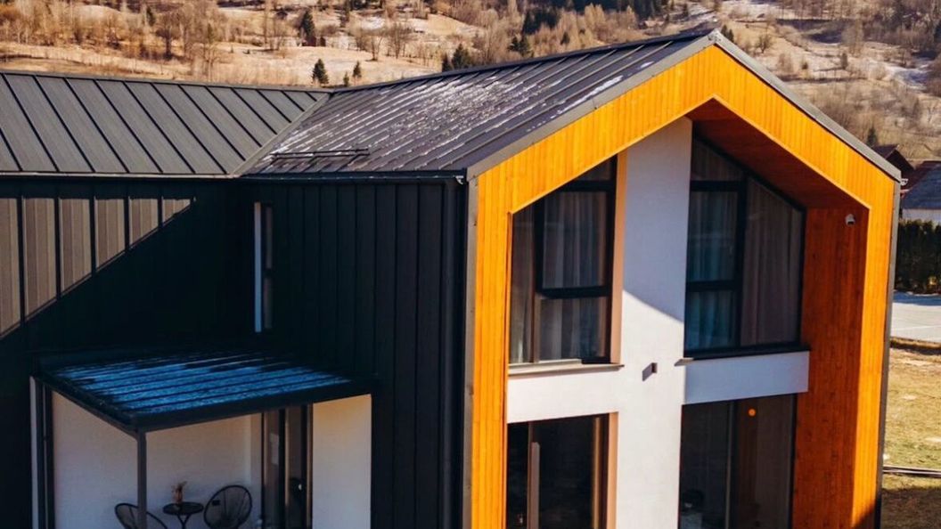 Vila The Nest Borşa (1)