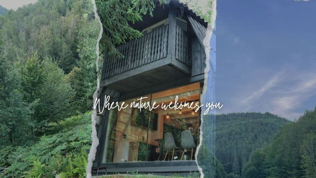 Casa de vacanță Sturzul Negru Munteni (1)