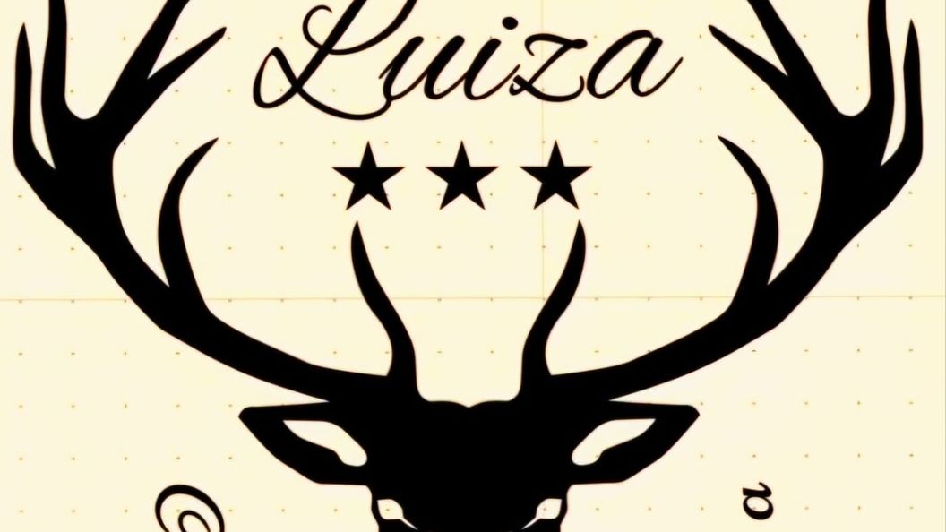 Villa Luiza B*** Şura Mare (1)